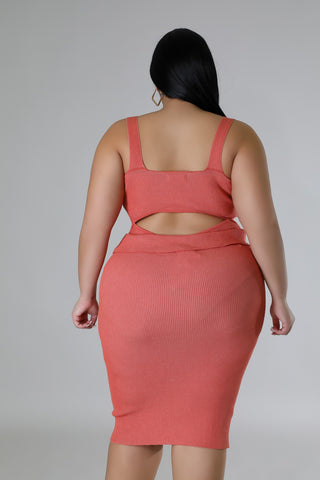 Spring Harmony Bodysuit Skirt Set Plus